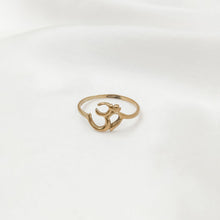 Load image into Gallery viewer, Ring India Ohm