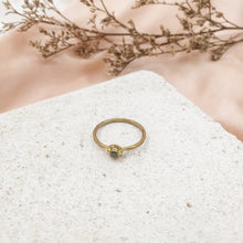 Load image into Gallery viewer, Ring Forest Set