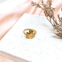 Load image into Gallery viewer, Ring Tropical Monstera