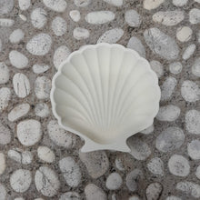 Load image into Gallery viewer, Decorative Plate Shell
