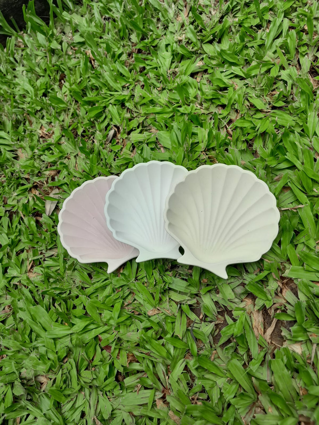 Decorative Plate Shell