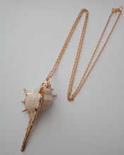 Load image into Gallery viewer, Necklace Shell Bolinus Brandaris
