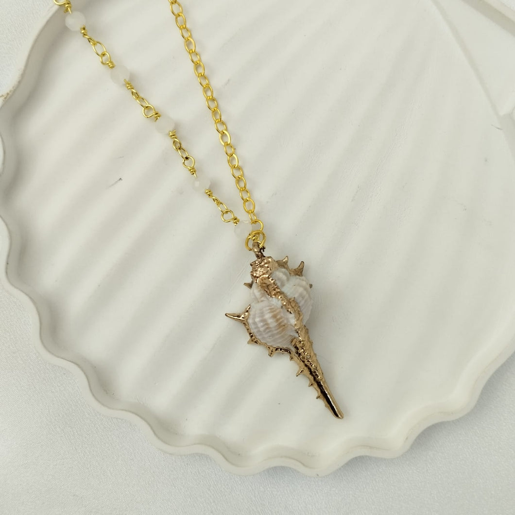 Necklace Shell Bolinus Brandaris